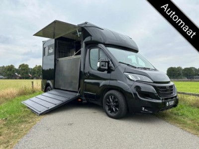 Fiat Ducato 2-paards paardenvrachtwagen automaat B-rijbewijs