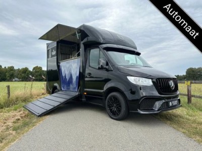 Mercedes-Benz Sprinter 315 AMG 2-paards paardenvrachtwagen B-rijbewijs