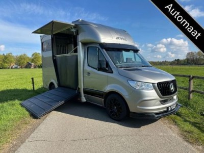 Mercedes-Benz Sprinter 317 AMG 2-paards Paardenvrachtwagen B-rijbewijs