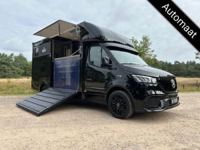 Mercedes-Benz Sprinter 319 AMG 2-paards paardenvrachtwagen B-rijbewijs